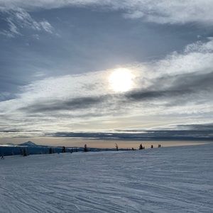 Meet your Posher, Zoe